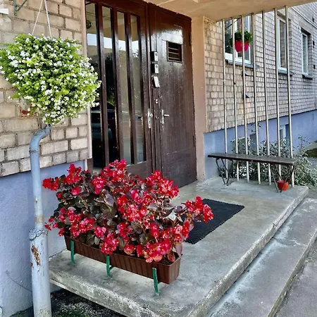 Apartment Cozy In With Free Parking. *