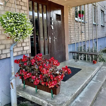 Cozy In With Free Parking. * Kaunas